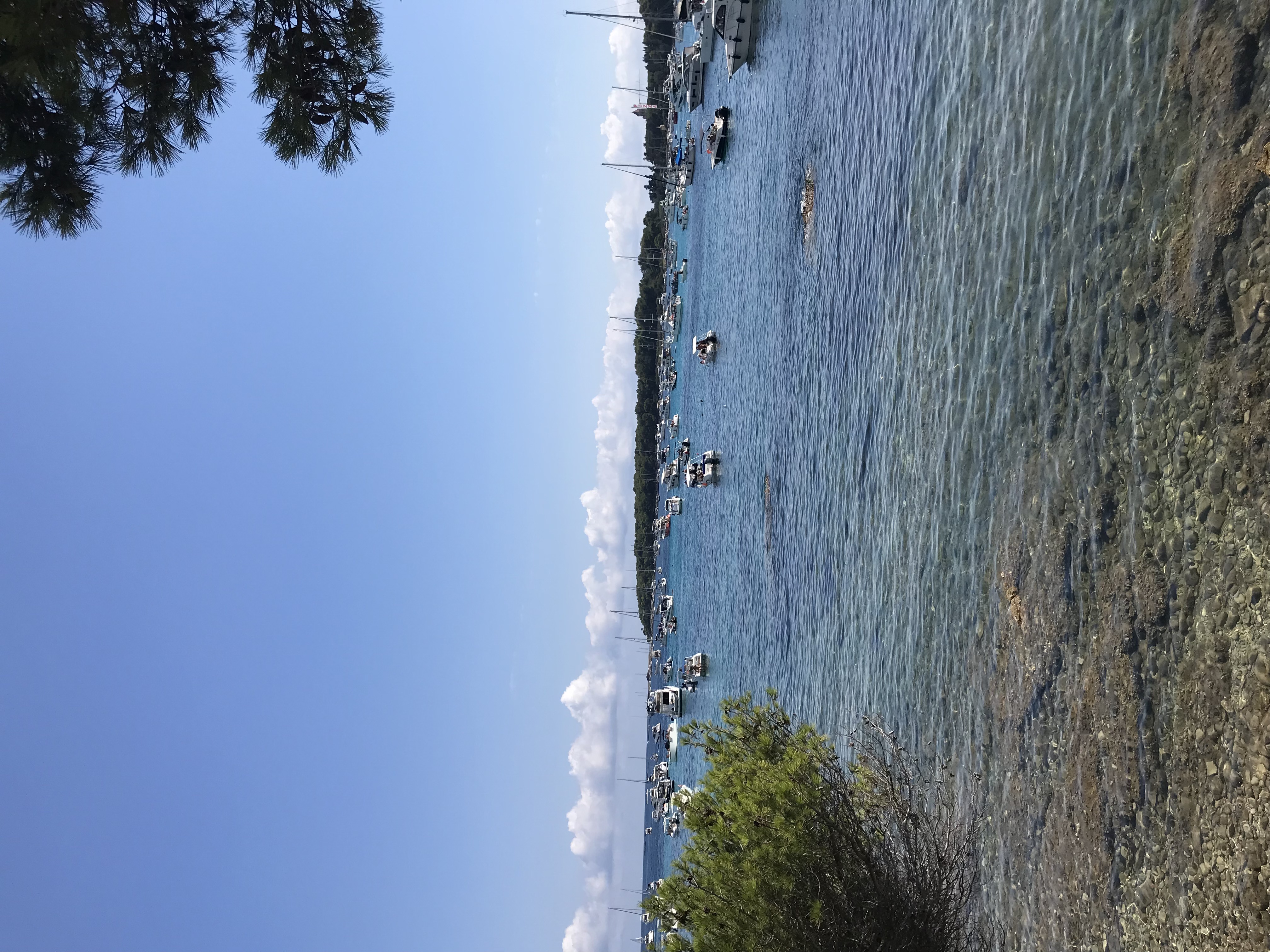 Ile de Lerins - Ile Ste Marguerite avec vue sur les montagnes et l' eau transparente de la plage et vue sur l' ile saint honorat